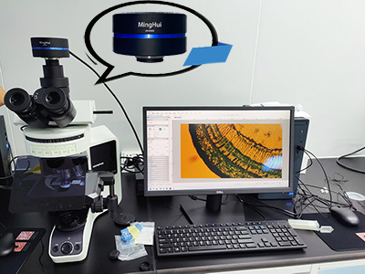 MHS900顯微鏡攝像頭-廣州明慧顯微鏡公司