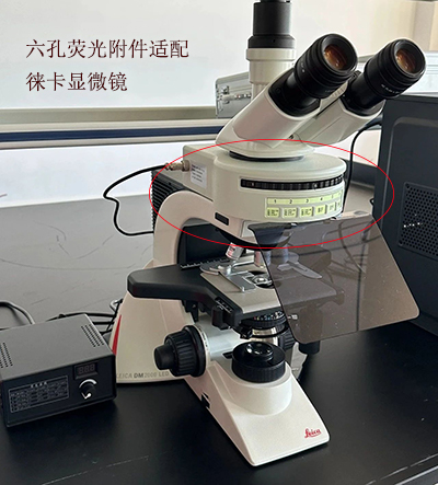 六孔LED熒光附件適配徠卡顯微鏡