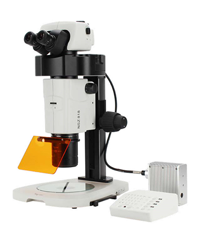 體視熒光顯微鏡NSZ818
