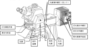 熒光顯微鏡機構(gòu)圖-廣州明慧