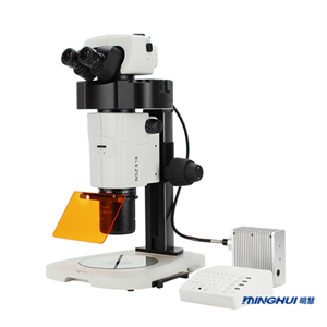 廣州明慧體視熒光顯微鏡NSZ818