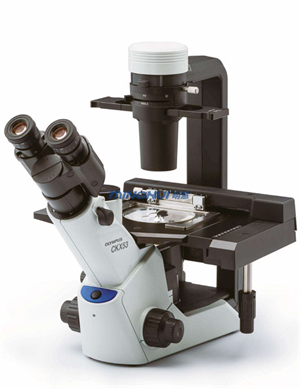 明慧倒置熒光模塊升級(jí)奧林巴斯倒置顯微鏡CKX41