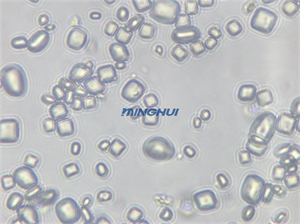 明慧MHD1200顯微鏡相機(jī)：蛋白晶體拍攝實(shí)測反饋，助力研究更順暢
