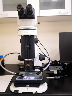 體視LED熒光附件：尼康NIKON研究級體視顯微鏡SMZ18升級熒光光源.jpg